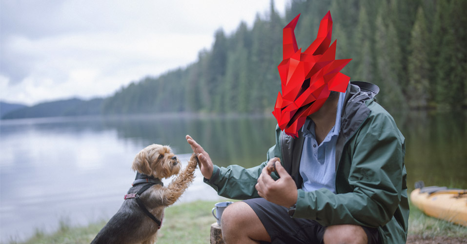 Dragon Symfony