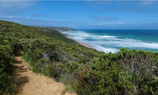 webnet-refonte-dcsmm-ofb